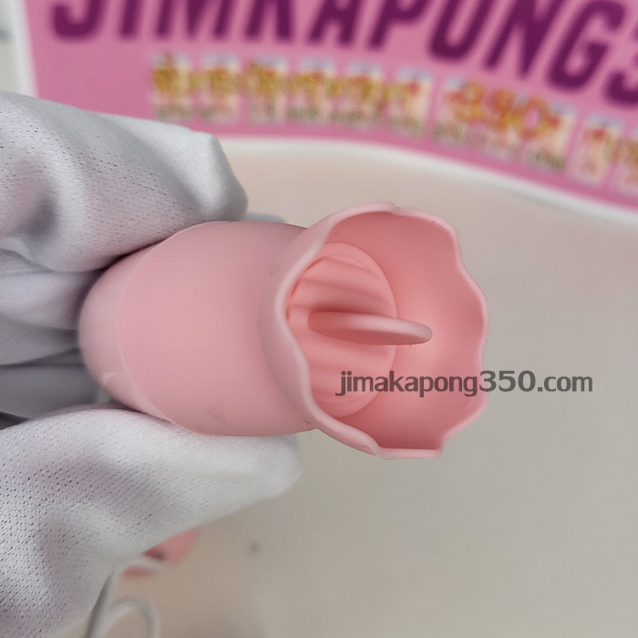 egg2026n-05